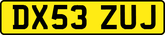 DX53ZUJ