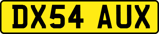 DX54AUX