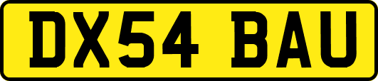 DX54BAU