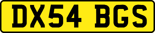 DX54BGS