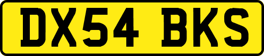 DX54BKS