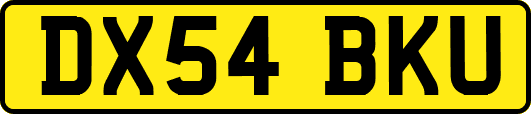 DX54BKU