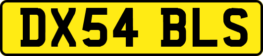 DX54BLS