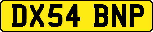 DX54BNP