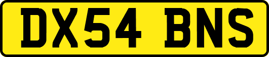 DX54BNS