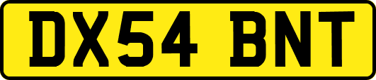 DX54BNT