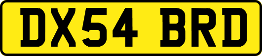 DX54BRD