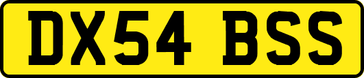 DX54BSS