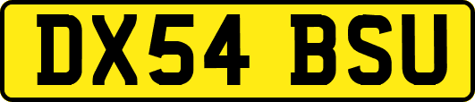 DX54BSU
