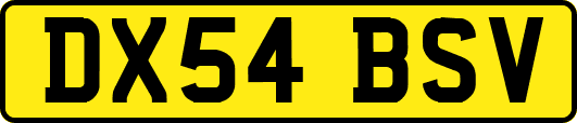 DX54BSV