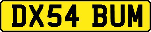 DX54BUM