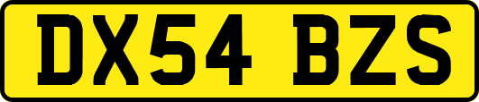 DX54BZS