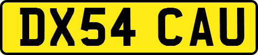 DX54CAU