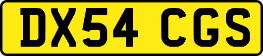 DX54CGS