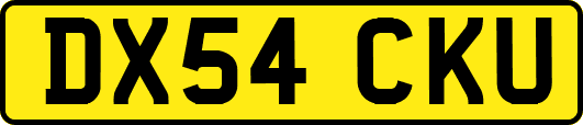 DX54CKU