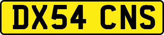DX54CNS