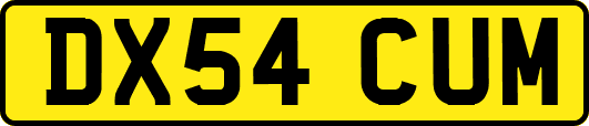 DX54CUM