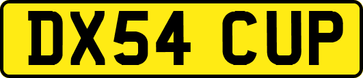 DX54CUP