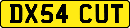 DX54CUT