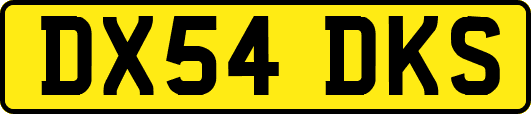 DX54DKS