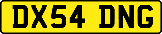 DX54DNG