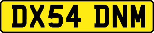 DX54DNM