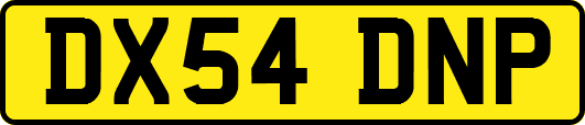 DX54DNP