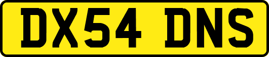 DX54DNS