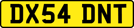 DX54DNT