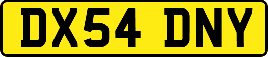 DX54DNY