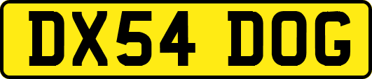 DX54DOG