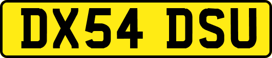 DX54DSU