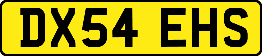 DX54EHS