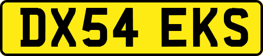 DX54EKS