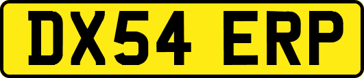 DX54ERP