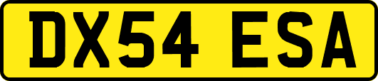 DX54ESA