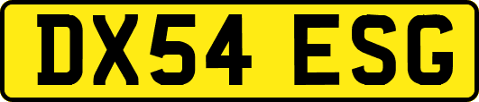 DX54ESG