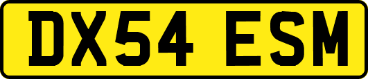 DX54ESM