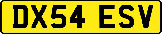 DX54ESV