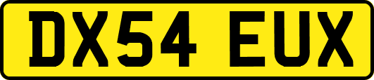 DX54EUX
