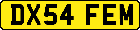 DX54FEM