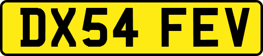 DX54FEV