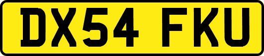 DX54FKU