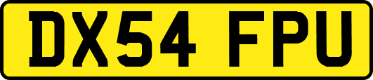 DX54FPU