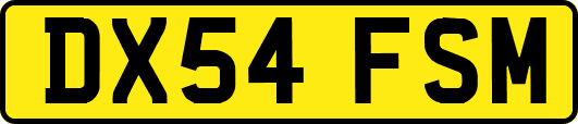 DX54FSM