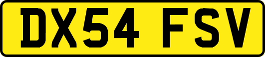 DX54FSV