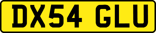 DX54GLU