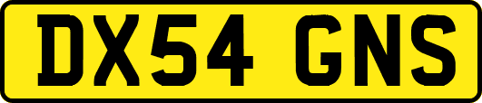 DX54GNS