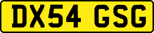 DX54GSG
