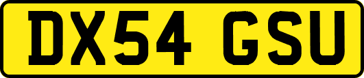 DX54GSU
